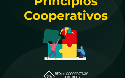 Principios Cooperativos
